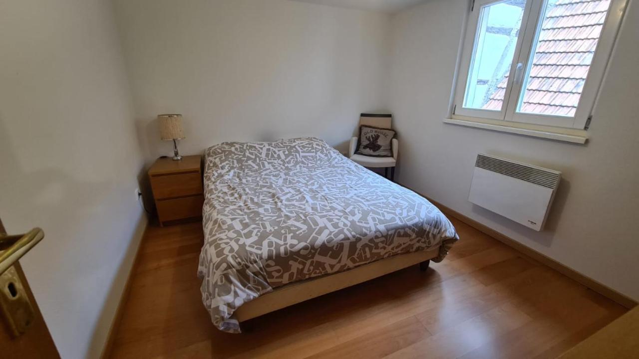 Le Bonheur Est Parfois Cache Dans L'Inconnu Apartment Selestat Exterior photo