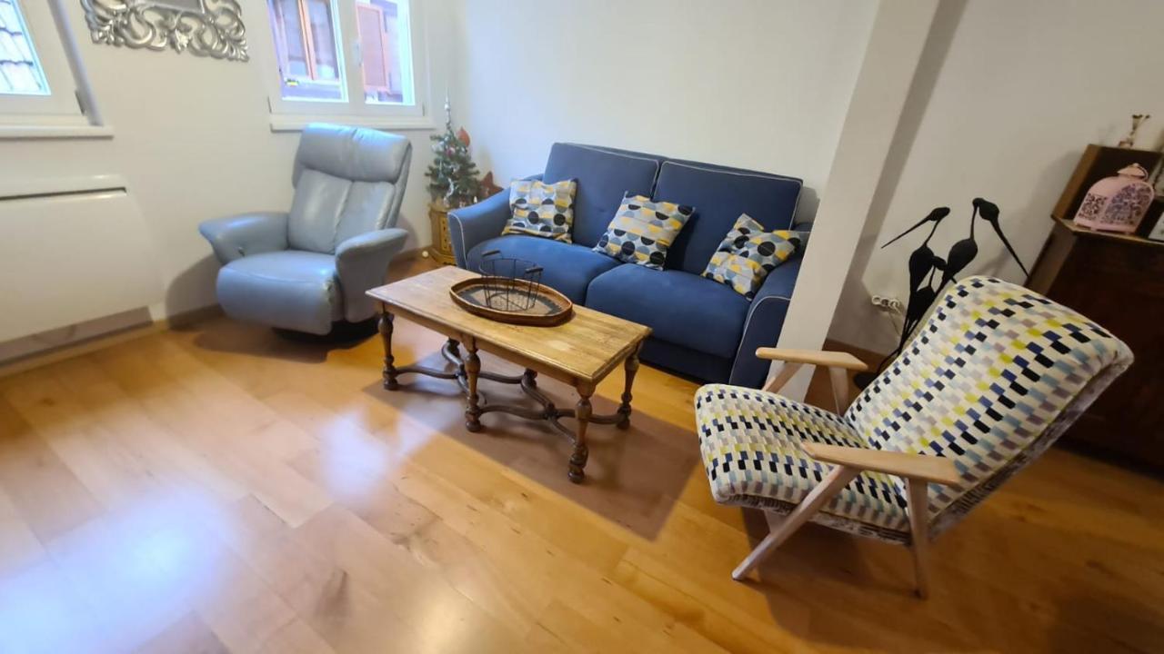Le Bonheur Est Parfois Cache Dans L'Inconnu Apartment Selestat Exterior photo